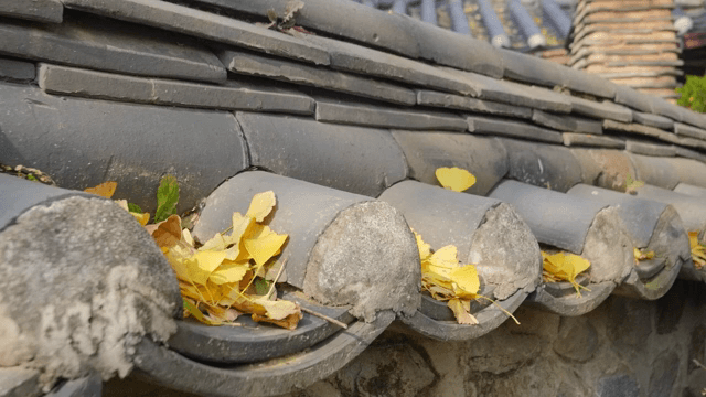 낙엽이 떨어진 전통 한국 지붕