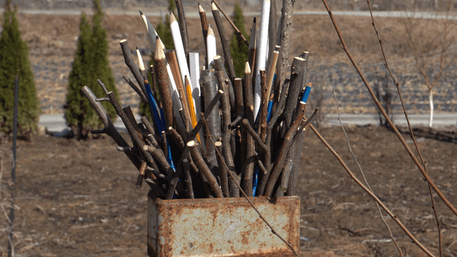 시골 배경의 나뭇가지 연필 조각품