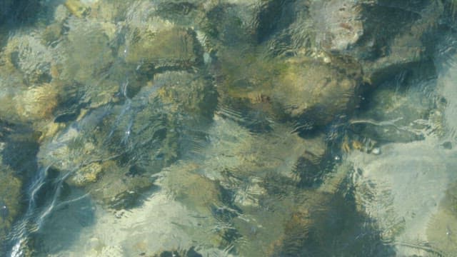 Glimmering Water Surface with Rocks Below