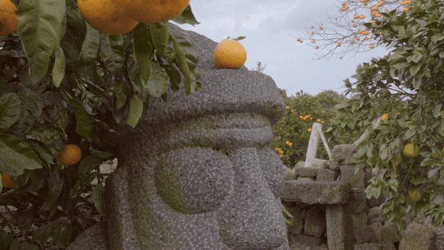 정원에 있는 돌하르방과 귤