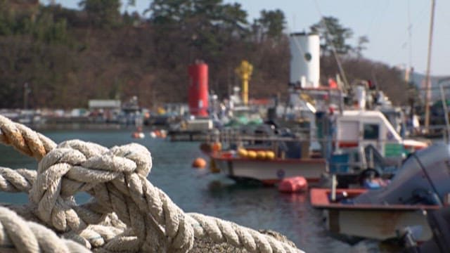 Moored Boats at a Peaceful Dockside