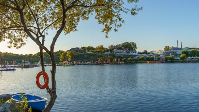 Riverside scenery with trees and colorful lanterns on a sunny day