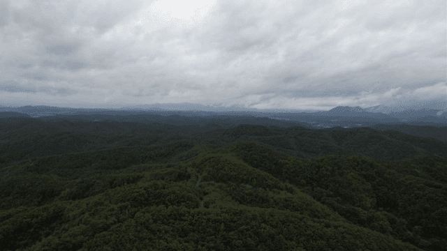 구름 낀 하늘 아래 광활한 숲