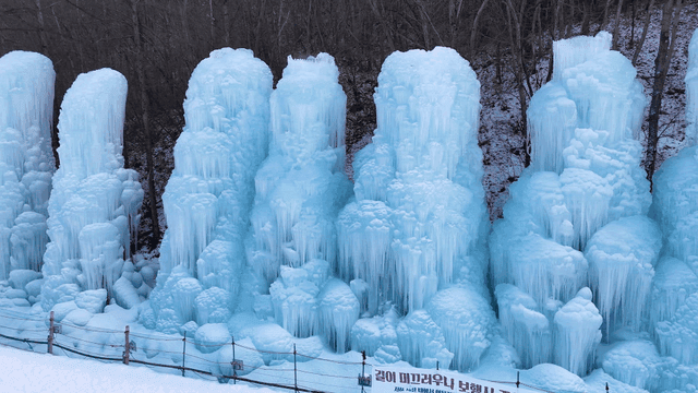 Frozen ice formations in a snowy forest
