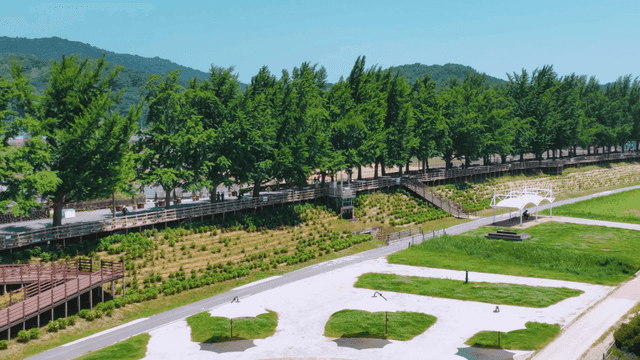 Scenic park with lush green trees