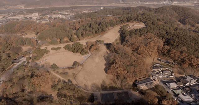 숲이 우거진 고분