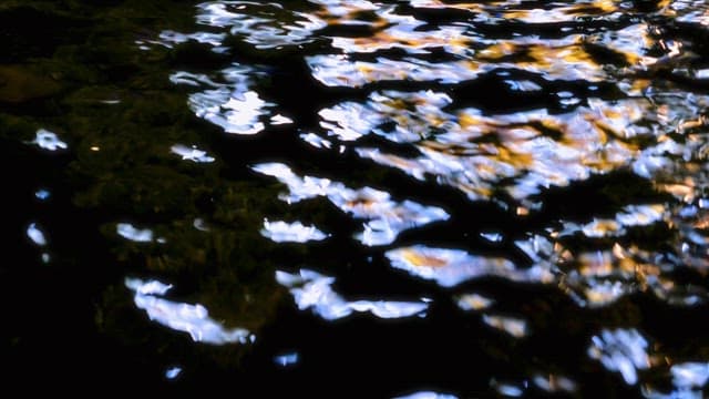 light reflecting on a flowing river