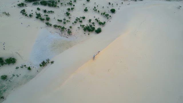 People riding camels in a vast desert