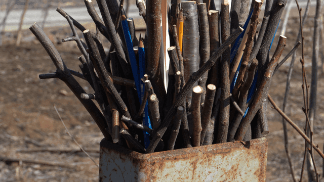 시골 배경의 나뭇가지 연필 조각품