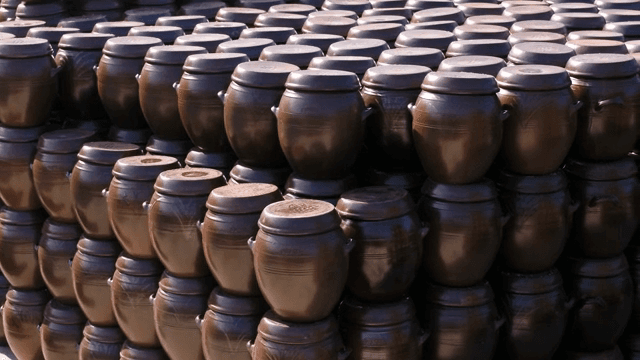 가지런히 진열되어 있는 전통 한국 항아리