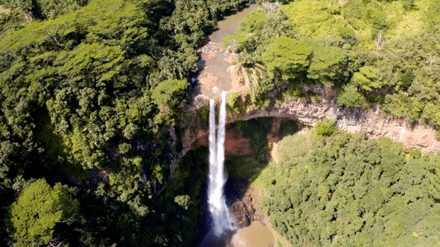 높은 폭포가 있는 푸른 숲