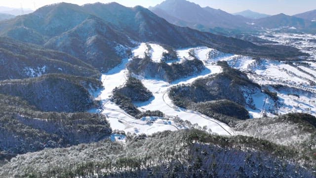 Snowy Landscape with Pine Trees and Mountains