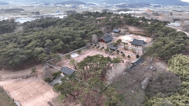 나무로 둘러싸인 전통 한국 건물