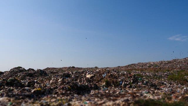 A landfill under a clear blue sky with birds flying around