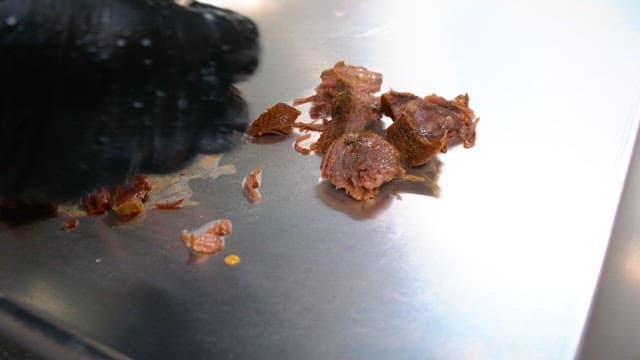 Preparing boiled meat on a metal tray with gloved hands