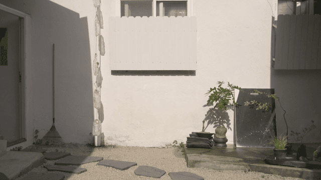 Small yard with plants and stones
