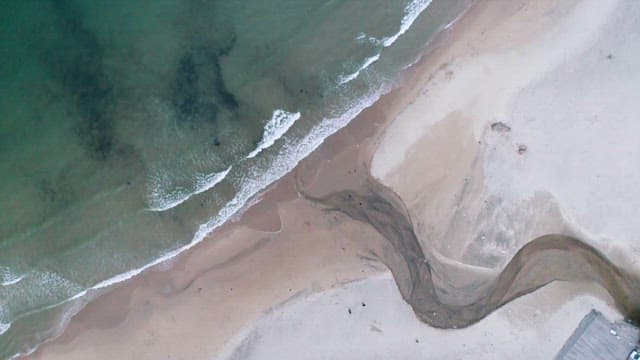 Serene Coastal Landscape with Gentle Waves