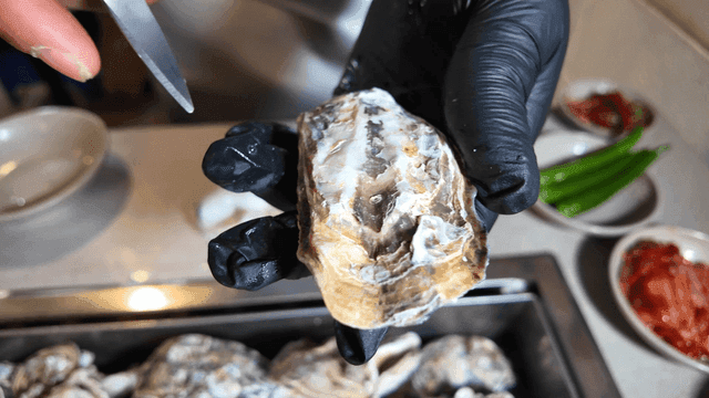 Fresh steamed oysters cut open with knife