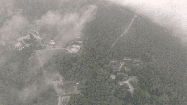 Foggy forest with a Hanok village