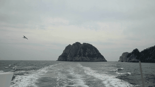 Distant rocky island where seagulls fly