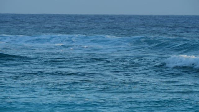 Waves crashing on a serene beach during the day