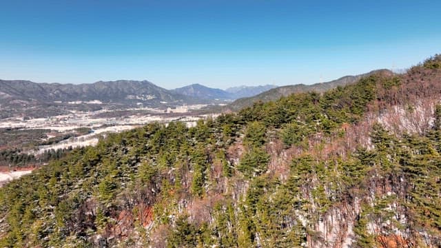 눈 덮인 산과 푸른 나무 경치