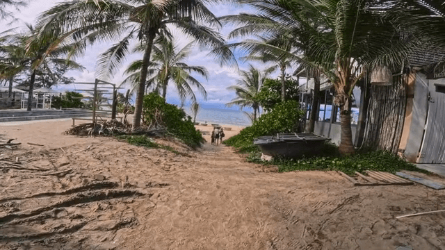 열대 해변으로 이어지는 길