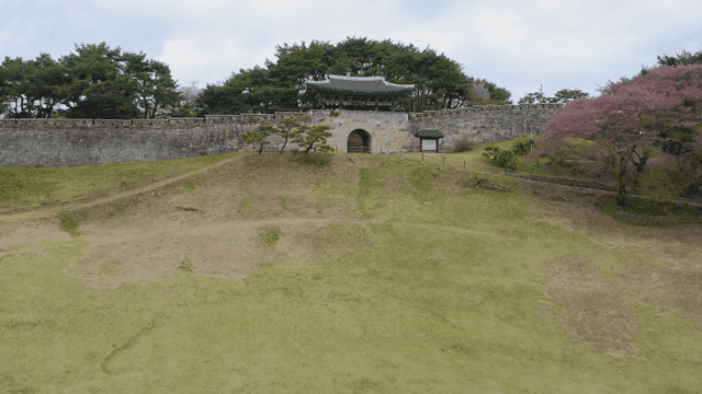 벚꽃이 피어난 전통 성문 옆 성곽