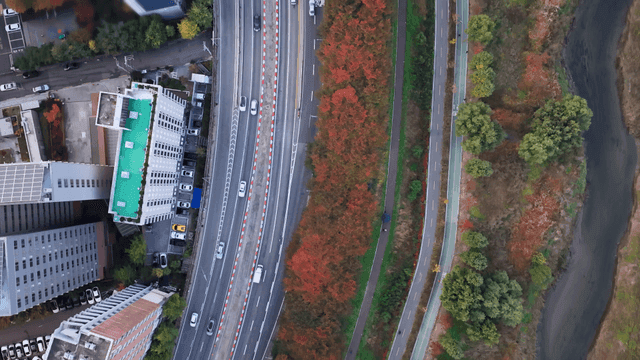 Cityscape of roads and autumn trees
