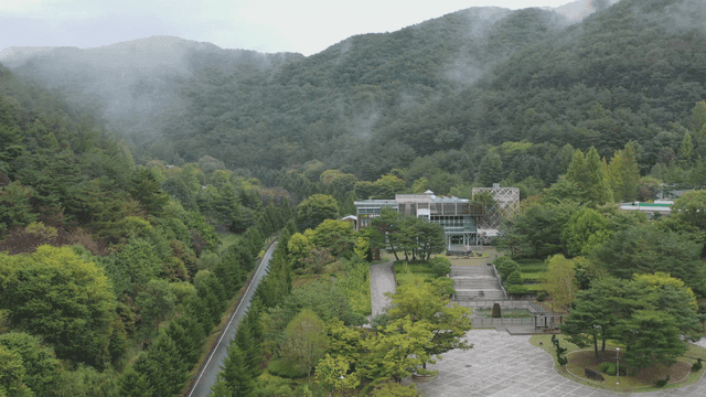 안개 낀 숲과 산 풍경