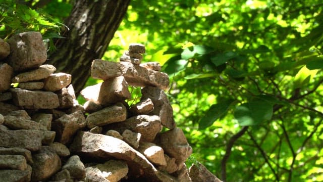 Stones piled up in a forest bathed in sunlight to make a wish