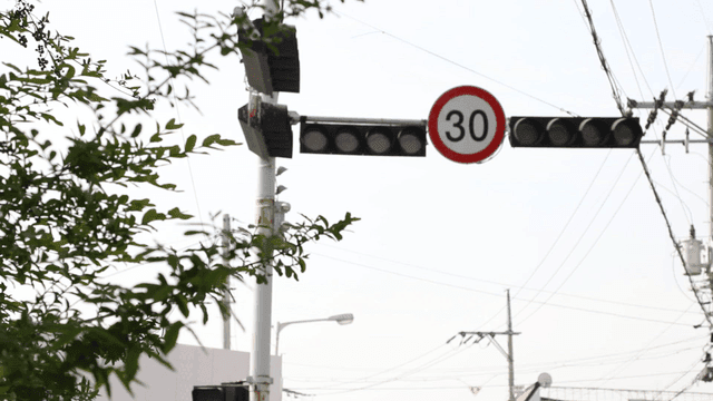 신호등과 속도 제한 표지판