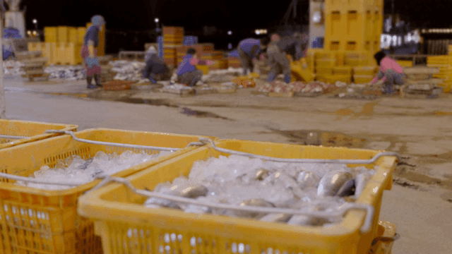 People working in fish market warehouse at night