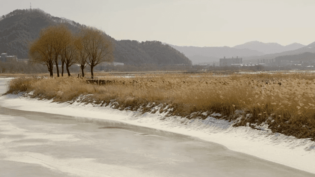 Winter landscape with frozen river and trees