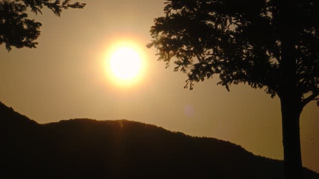 Sunset over mountains with trees silhouetted