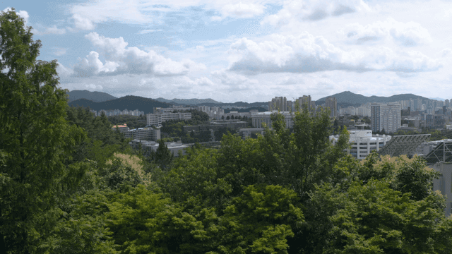푸른 나무와 도시 스카이라인