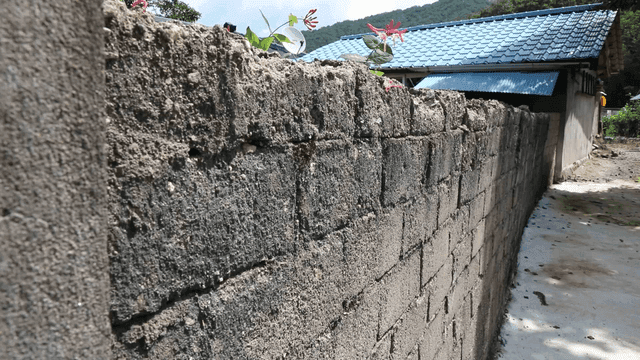 Countryside brick wall with flowers and house