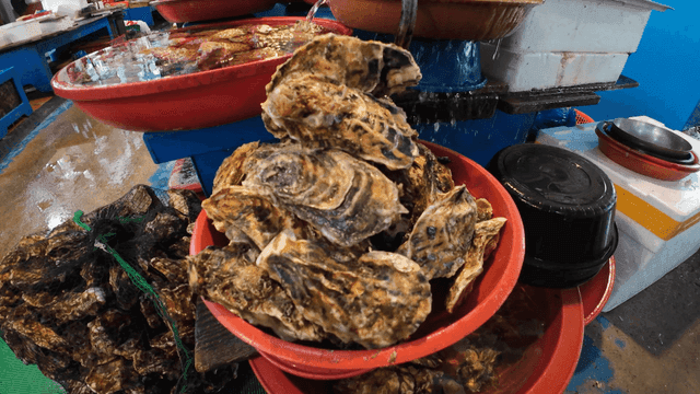 Fresh seafood displayed in a market