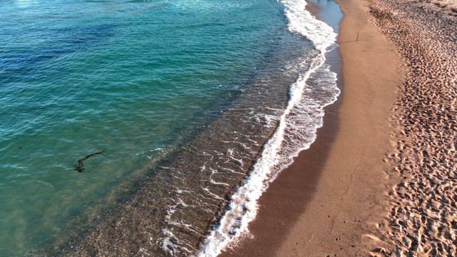 Waves gently lapping on a sandy beach