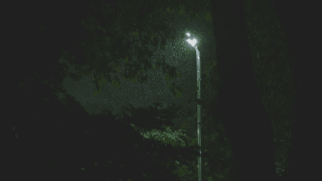 가로등이 비추는 밤의 비