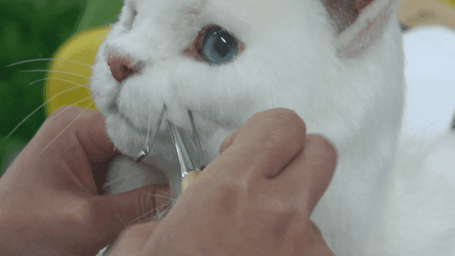 Hand pressing awl at location of cat doll's whiskers