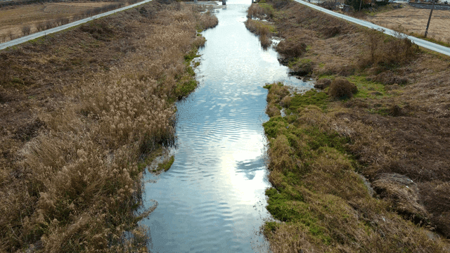 Quiet river flowing through dry reeds