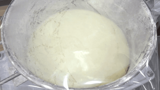 금속 그릇에서 부풀어 오르는 반죽