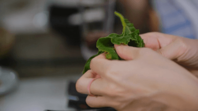 한국식 쌈을 들고 있는 손