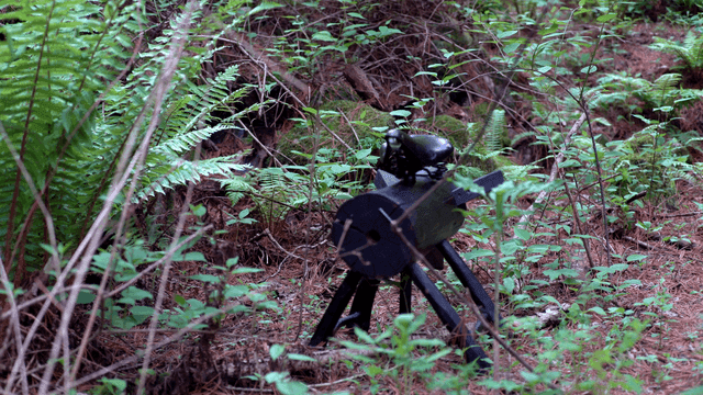푸른 숲 속의 나무 조각상