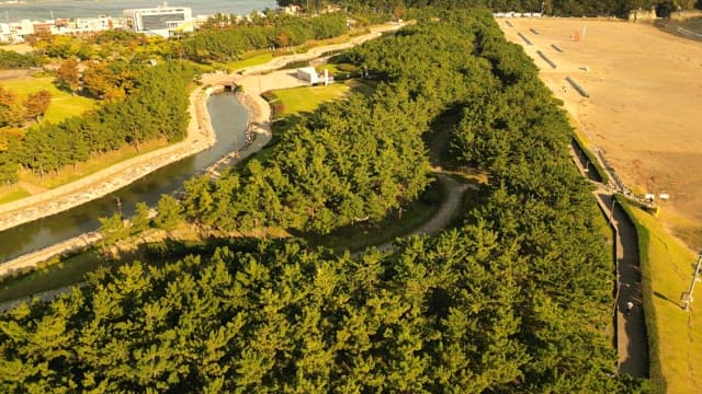 Scenic park with lush greenery and a river