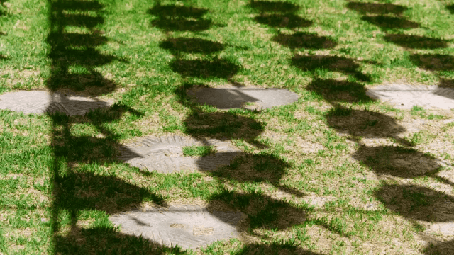 잔디 위에 등불의 그림자