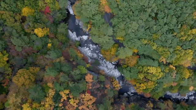 다채로운 가을 숲의 항공 뷰