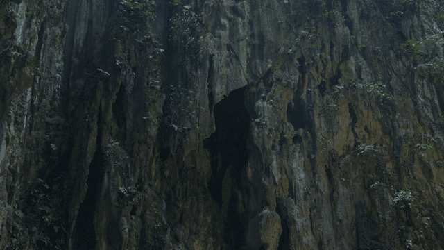 Large rocky cave with lush greenery