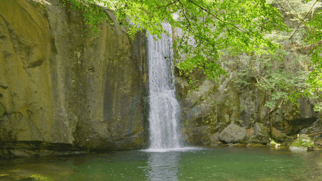 Fast-falling waterfall in green forest